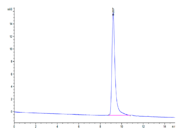 HPLC of Rat Serpina3n Protein 2368