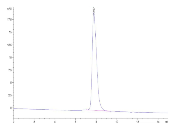 HPLC of Rat PDGF R beta/CD140b Protein 2370