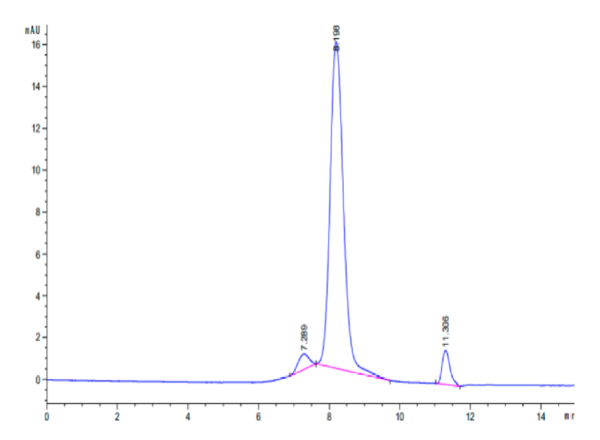 HPLC of Human N Cadherin?Protein 2374