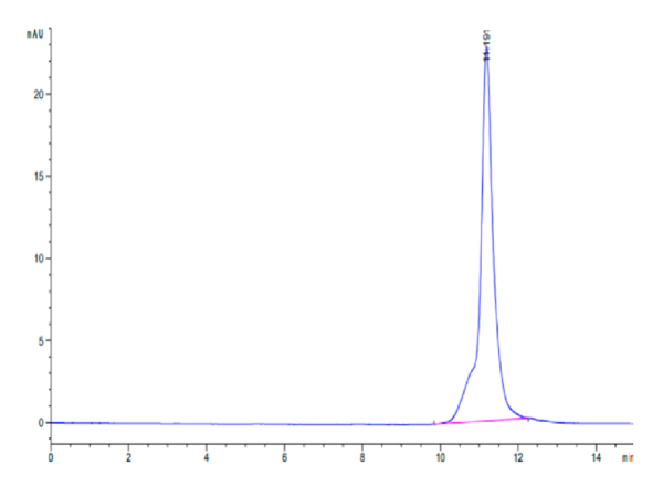 HPLC of Mouse LY6A?Protein 2384