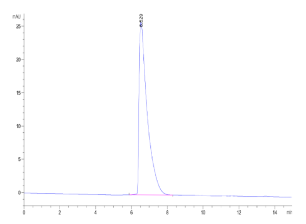 HPLC of Biotinylated Human CEACAM-5/CD66e Protein 2385