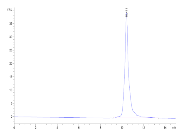HPLC of Canine EGF?Protein 2389