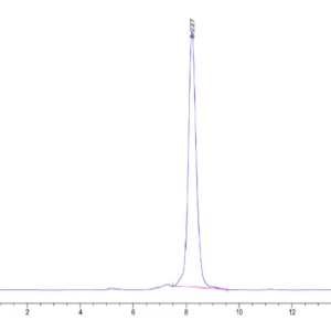 HPLC of Mouse CD8 alpha&beta Heterodimer Protein 2397