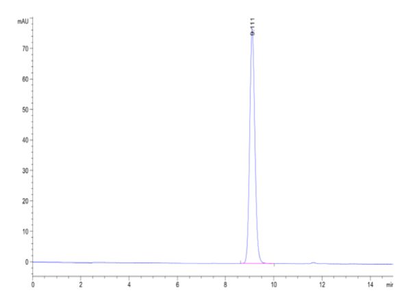 HPLC of Biotinlylated Human HLA-B*15:01&B2M&SARS-CoV-2 epitope (NQKLIAN 2399