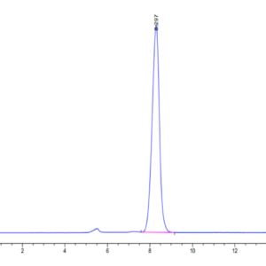 HPLC of Human Fibronectin (1266-1356) Protein 2400