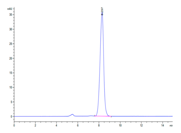 HPLC of Human Fibronectin (1266-1356) Protein 2400