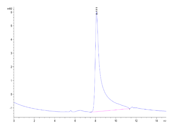 HPLC of Mouse Noggin Protein 2401