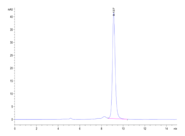 HPLC of Human SMR3B?Protein 2404