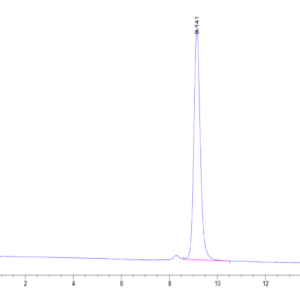 HPLC of Human Peptide Ready HLA-G&B2M Monomer?Protein 2406