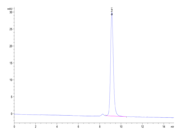 HPLC of Human Peptide Ready HLA-G&B2M Monomer?Protein 2406