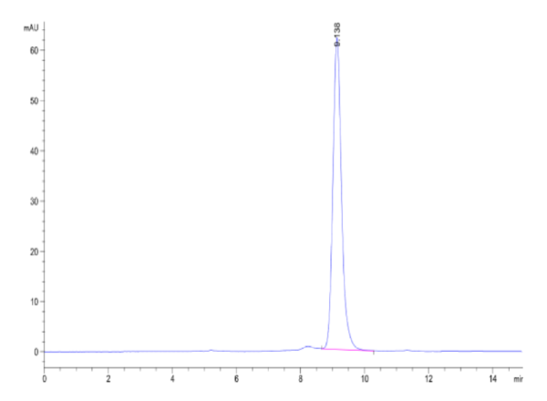 HPLC of Biotinylated Human Peptide Ready HLA-A*02:01&B2M Monomer?Protei 2412