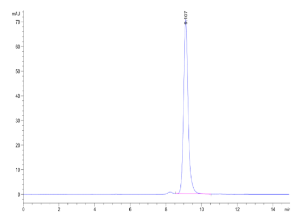 HPLC of Human Peptide Ready HLA-A*02:01&B2M Monomer?Protein 2413