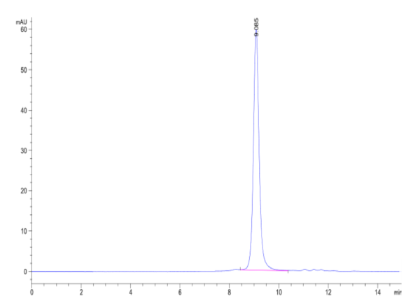 HPLC of Biotinylated Human Peptide Ready HLA-E*01:03&B2M Monomer?Protei 2414