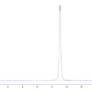 HPLC of Human Peptide Ready HLA-E*01:03&B2M Monomer Protein 2415