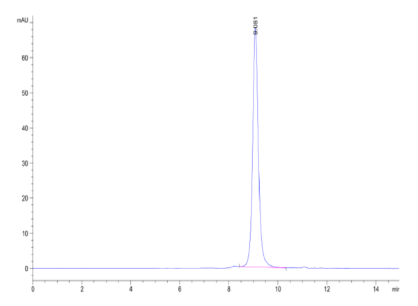 HPLC of Human Peptide Ready HLA-E*01:03&B2M Monomer Protein 2415