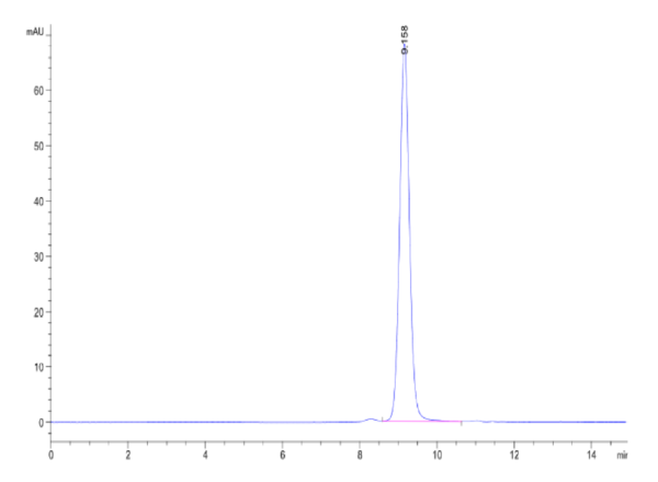 HPLC of Biotinylated Human Peptide Ready HLA-A*11:01&B2M Monomer?Protei 2416