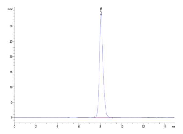 HPLC of Mouse GM-CSF Protein 2418