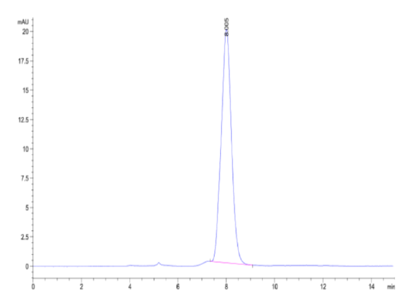 HPLC of Canine BMPR1A/ALK-3 Protein 2425