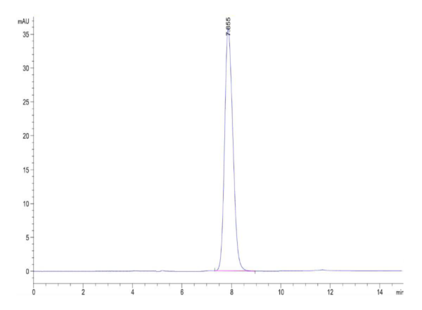 HPLC of Rat IL-22R alpha 1 Protein 2428