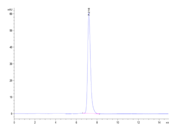 HPLC of Rat IL-13Ra2 Protein 2429