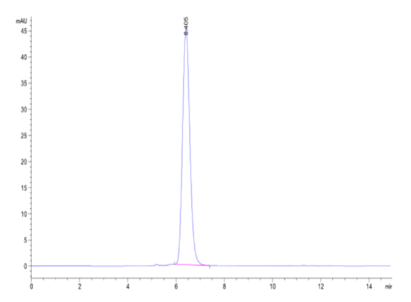 HPLC of Mouse VEGF R3/FLT4 Protein 2430