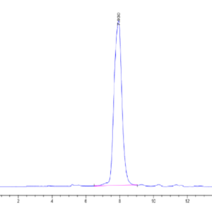 HPLC of Human NKp80/CLEC5C?Protein 2431