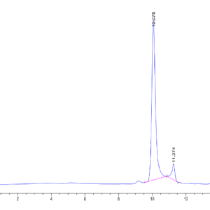 HPLC of Human NRAS?Protein 2432