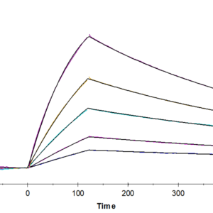 SPR with Mouse BID Protein 2433