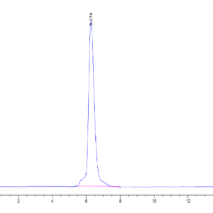 HPLC of Mouse CD45/PTPRC Protein 2434