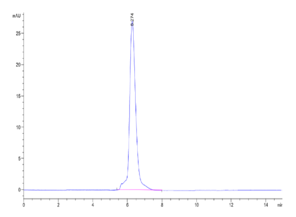 HPLC of Mouse CD45/PTPRC Protein 2434