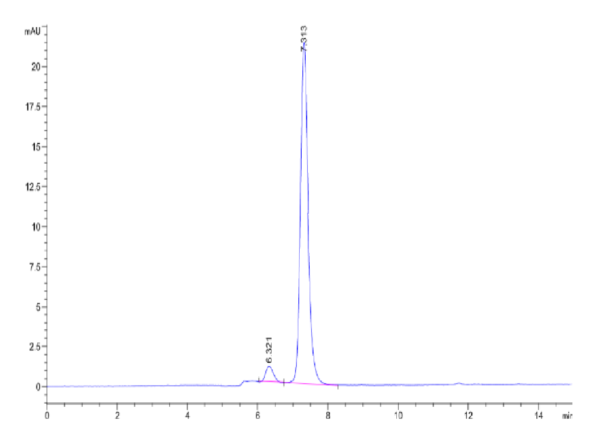 HPLC of Mouse VCAM-1/CD106 Protein 2435