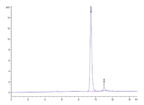 HPLC of Biotinylated Human HLA-A*11:01&B2M&KRAS G12D (VVGADGVGK) Monome 2439