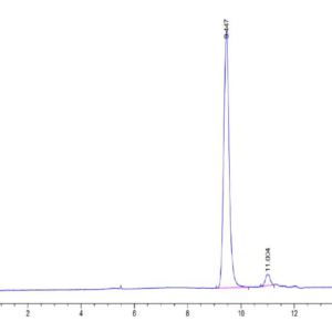 HPLC of Human HLA-A*11:01&B2M&KRAS G12D (VVGADGVGK) Monomer Protein 2440