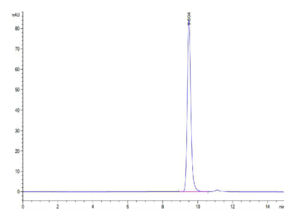 HPLC of Biotinylated Human HLA-A*11:01&B2M&KRAS G12D (VVVGADGVGK) Monom 2441