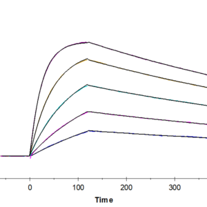 SPR with Human HLA-A*11:01&B2M&KRAS G12D (VVVGADGVGK) Monomer Protein 2442