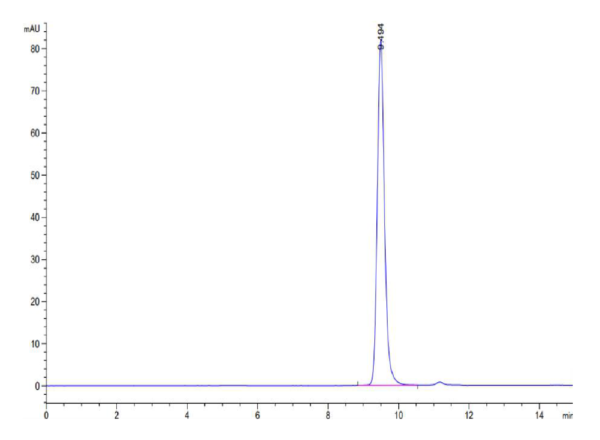 HPLC of Human HLA-A*11:01&B2M&KRAS G12D (VVVGADGVGK) Monomer Protein 2442