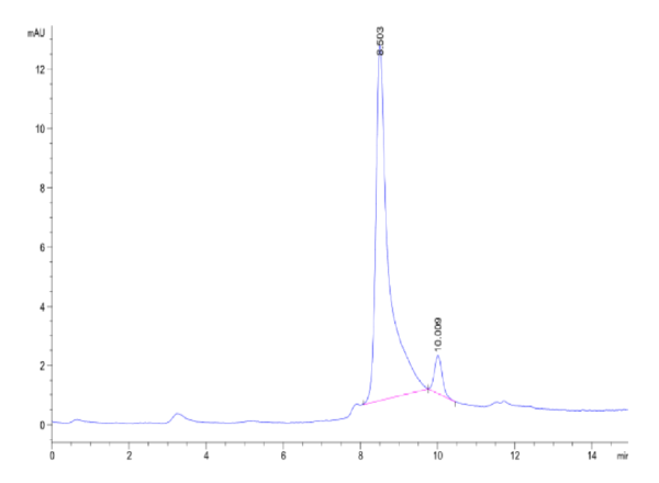 HPLC of Mouse Noggin Protein 2443