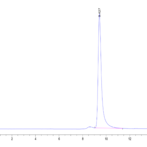 HPLC of Human UBASH3B/STS1?Protein 2445