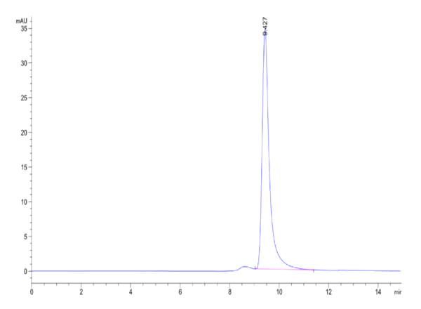 HPLC of Human UBASH3B/STS1?Protein 2445