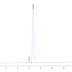 HPLC of Human HLA-A*11:01&B2M&KRAS G12A (VVVGAAGVGK) Tetramer Protein 2447