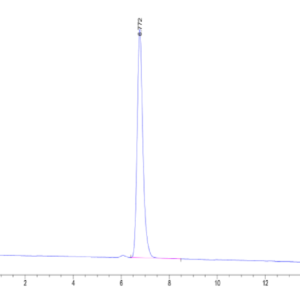 HPLC of Human HLA-A*11:01&B2M&KRAS G12R (VVVGARGVGK) Tetramer Protein 2449
