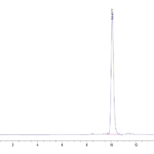 HPLC of Human IL-1F10/IL-38?Protein 2452