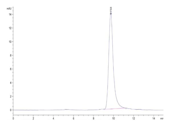 HPLC of Human NUDT5 Protein 2453