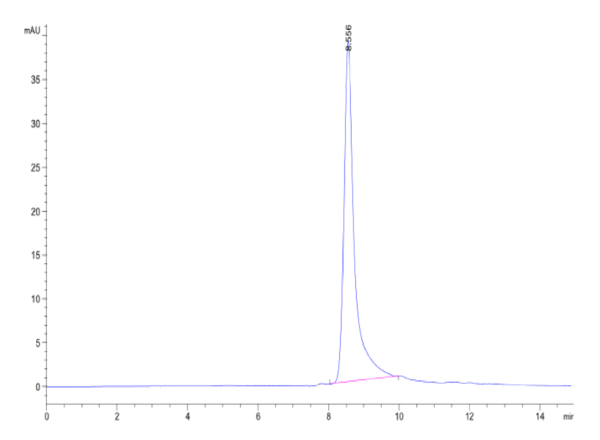 HPLC of Mouse Noggin Protein 2457