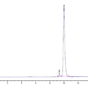 HPLC of Human PHOSPHO1?Protein 2460