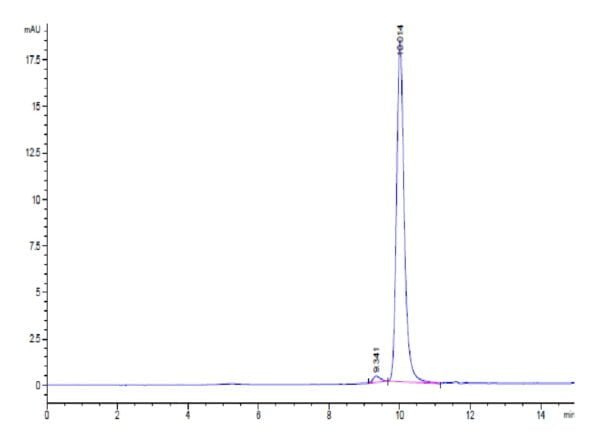 HPLC of Human PHOSPHO1?Protein 2460