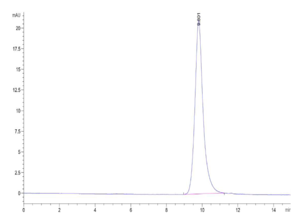 HPLC of Rat IL-22R alpha 1 Protein 2463