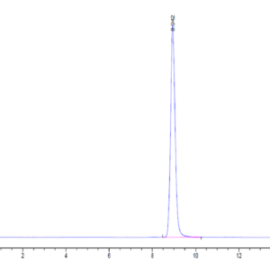 HPLC of Human FDPS?Protein 2465