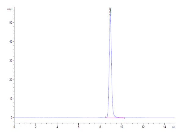 HPLC of Human FDPS?Protein 2465