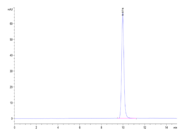 HPLC of Human Latexin?Protein 2468